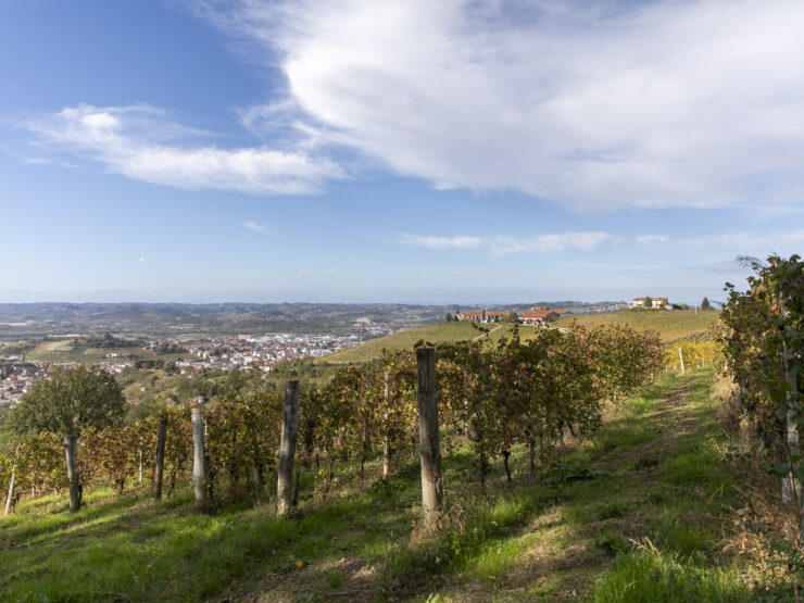 Langhe e Monferrato: lo sviluppo del territorio come traino per l’immobiliare.
