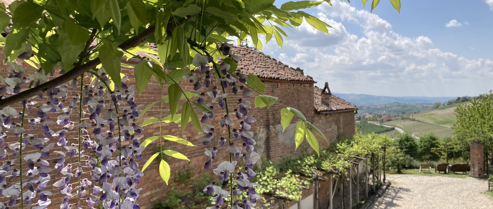 Antica proprietà rurale in Langa Antica proprietà rurale in Langa